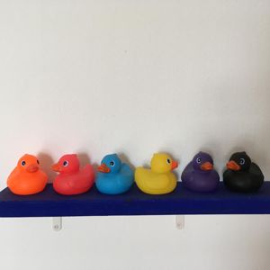 Lernen_Heidrun Zemsauer (1)