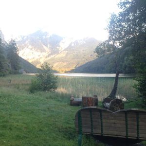 Reinigung_Heidrun Zemsauer (3)