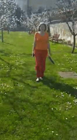 talk & walk